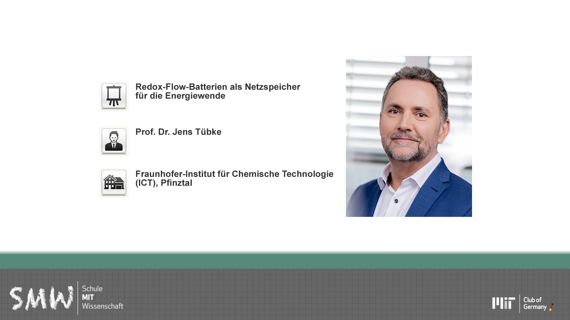 Redox-Flow-Batterien als Netzspeicher für die Energiewende